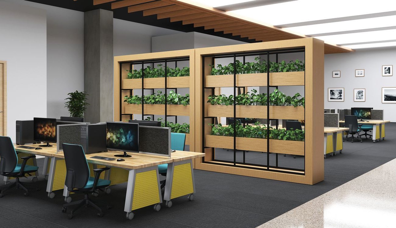 alamo-csr-office-area-03